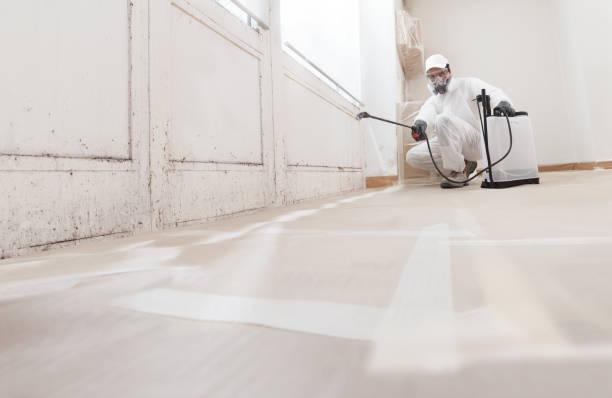 24/7 Emergency Attic Mold Remediation experts in Convent Station, NJ